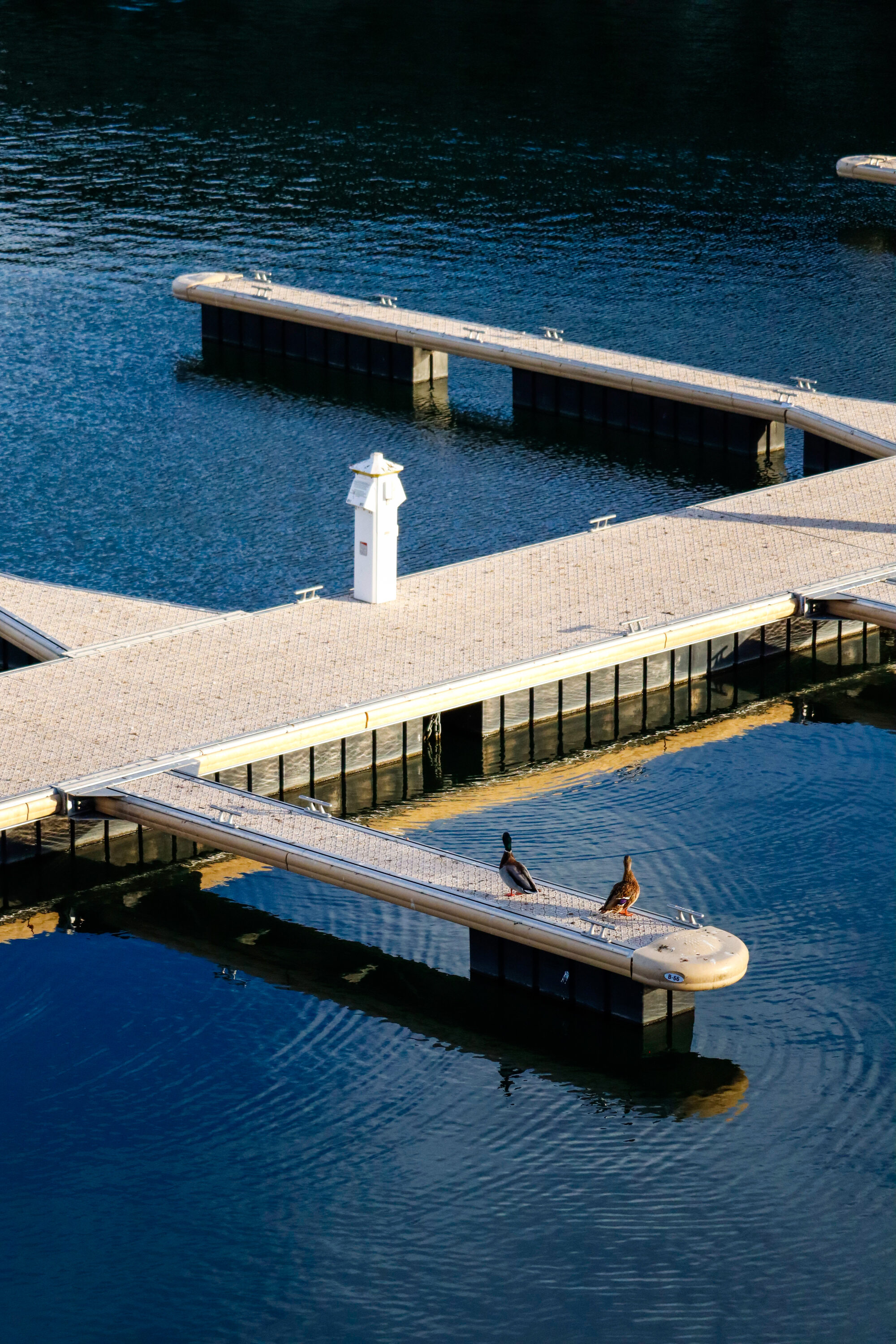 Street Photography 12